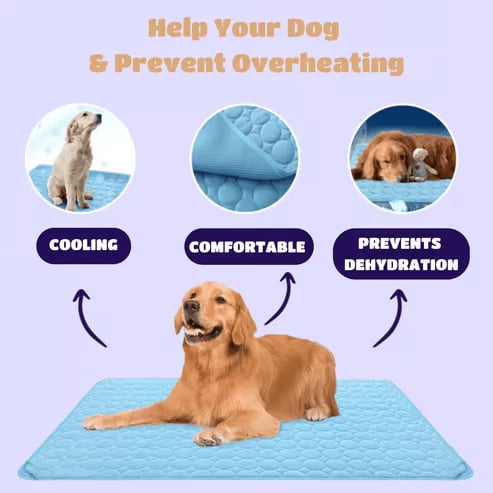 🔥Hot Sale 49% OFF - Dog Cooling Mat (4x more effective)
